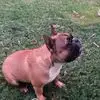 Roberto Bustos - @roberto.bustos902 - TikTok