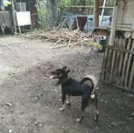 Roberto Cain - Facebook