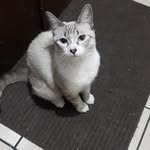 Roberto Calles - @rockberto1086 - Instagram