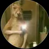 Roberto Calles castillo - @robertocallescast3 - TikTok
