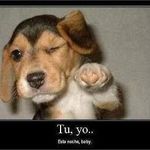 Jose Roberto Camberos Diaz - @joserobertocamberosdiaz - Instagram