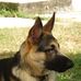 Roberto Camberos - Facebook
