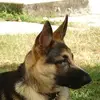 Roberto Camberos - @roberto.camberos6 - TikTok