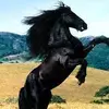 robertocancio290 - @robertocancio290 - TikTok