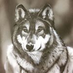 Roberto Carnevale - @artu33106 - Instagram