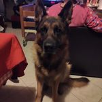 Roberto Carnevale - @carnevale1969 - Instagram