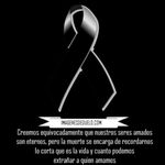 Roberto Casco - @roberto_casco503 - Instagram
