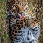 Roberto Casiano - @casiano7532 - Instagram