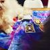Roberto Cavalli - Facebook