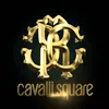 Roberto Cavalli - @.roberto.cavalli - TikTok