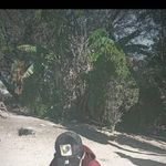 Roberto Ceron - @beto.ceron.2009 - Instagram