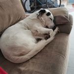 roberto ceron Álvarez - @robertoceronalvarez - Instagram