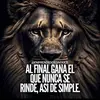 ChinchillaRoberto - @chinchillaroberto - TikTok