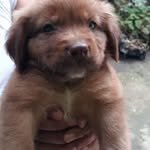 Roberto Chinchilla - @roberto.chinchilla.96592 - Instagram