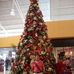 Roberto Chinchilla - Facebook
