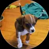 Roberto Cintron - @roberto.cintron69 - TikTok
