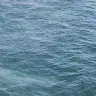 Roberto Cintron - @robertocintron4 - TikTok