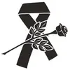 robertocolunga905 - @robertocolunga905 - TikTok