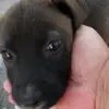 Roberto Concha - @roberto.concha49 - TikTok