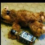 Roberto Delgadillo - @roberto.delgadillo.7509 - Instagram