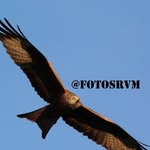 Roberto del Valle - @fotosrvm - Instagram