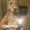 Roberto Delvalle - @roberto.delvalle0 - TikTok