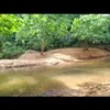 robertodelvalle79 - @robertodelvalle79 - TikTok