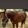 Roberto Diego - @roberto.diego17 - TikTok