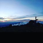 Roberto Escamilla - @escamilla4826 - Instagram