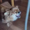 Roberto Tomas Castro Esponda - @robertotomascastr - TikTok