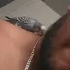 Roberto Fabela188 - @robfabela - TikTok