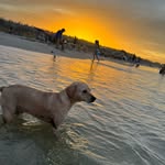 Roberto Fabela - @roberto_fabela - Instagram