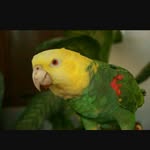 Roberto Florez - @florez7710 - Instagram