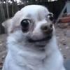 Roberto Fong - @roberto.fong2 - TikTok