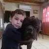 Roberto Font - @robertofont2 - TikTok