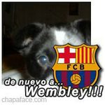Roberto Fraga - @robyfraga - Instagram