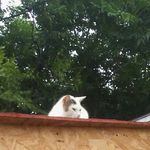 jennyacista - @roberto.garibaldi58 - Instagram