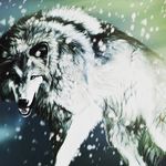 Roberto Carlos Garibaldi - @garibaldirobertocarlos - Instagram