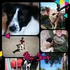 Roberto Genovese570 - @robertogenovese69 - TikTok