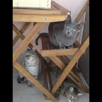 Roberto Genovese - Facebook