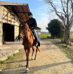 Roberto Genovese - Facebook