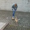 Roberto Genovese - @robertogenovese7 - TikTok