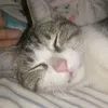 Roberto Gerardo - @gerardosalazar268 - TikTok