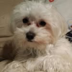 Roberto Huertas - @robertohuertas74 - Instagram