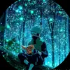 Roberto Jarquín - @robertocarlosjarquin0806 - TikTok
