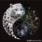 Roberto Jarquin - Facebook