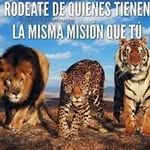 Roberto Jasso - @jasso5387 - Instagram