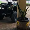 Roberto Jasso - @robertojasso - TikTok