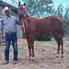 robertojasso235 - @robertojasso235 - TikTok