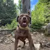 Roberto Jones - @robertojonesz - TikTok